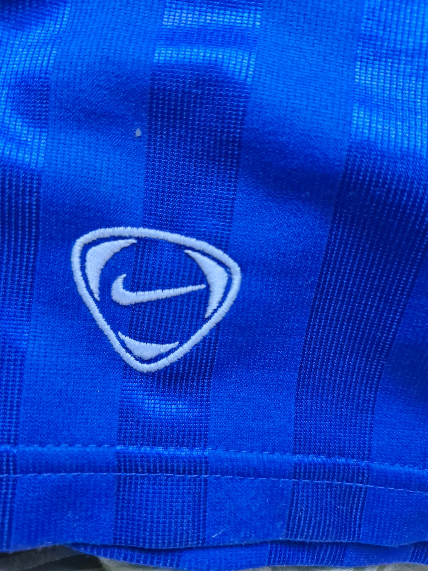 Nike T90 Early 2000's Blue Shorts